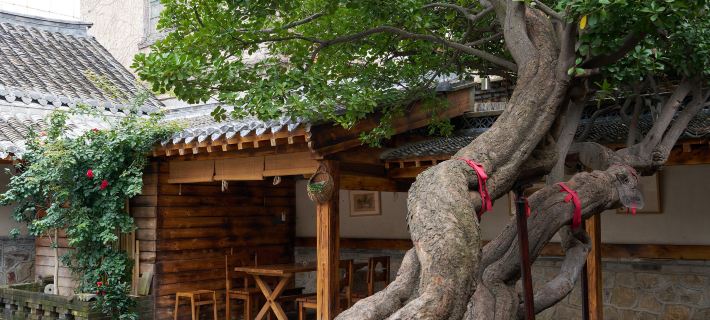 Two Holly Trees Coastal Courtyard Homestay (Yantai Mountain Scenic Area No.1 Bathing Beach) Hotels in Yantai