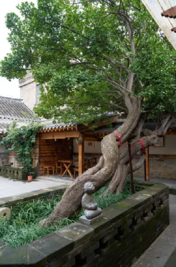 兩棵冬青庭院民宿（煙台山景區店）