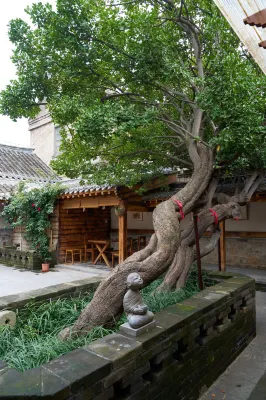 Liangke Wintergreen Courtyard Homestay (Yantai Mountain Scenic Area)