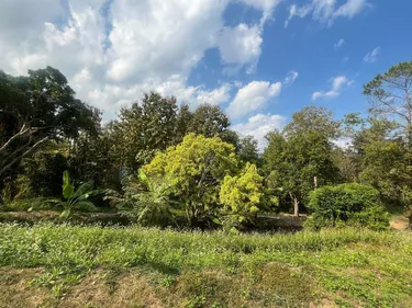 รูปภาพของปาย ฮิลล์ไซด์ รีสอร์ท