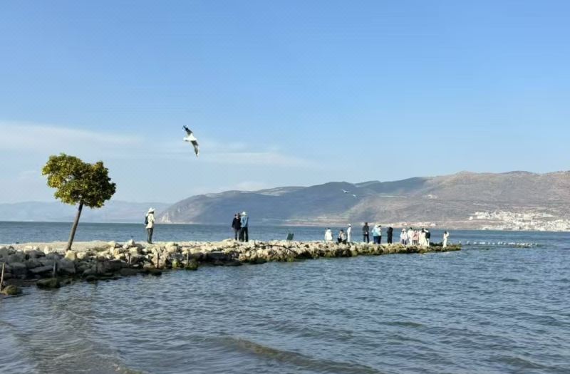 Dali Man Yue · M Seaview Hotel photo 6