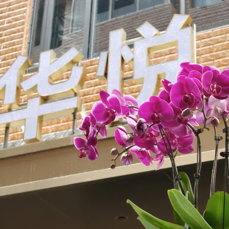 Huayue Xinglan Boutique Apartment (Pingxiang North Station)