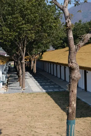 Wuhu · Wanchun Tea Origin · Joyful Wild Luxury Scenic View Leisure & Vacation Courtyard Отели рядом со станцией Fanchang West Railway Station