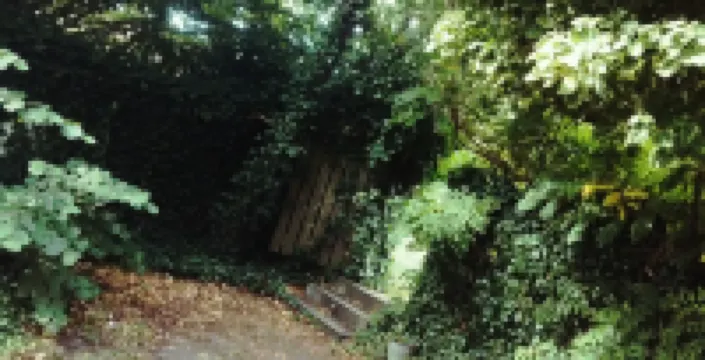 Matcha Suites by Greenbrook