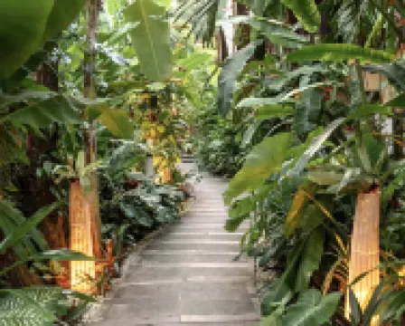 Jungle Nest Resort Hotels in 