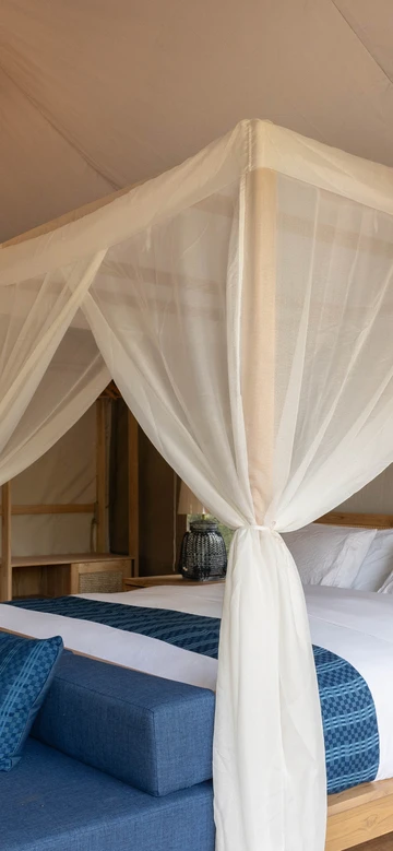 รูปภาพของวิศามา เอ็กซ์พลอเรอร์ น่าน