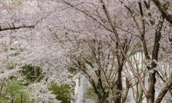 Pusen Lanting ShaoXing