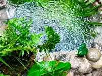 Tingquan Homestay, Hefeng (Pingshan Canyon Scenic Area Branch) Hotels in Hefeng