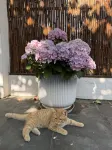 Anbo Yaju Garden Homestay (Zhuozheng Garden Pingjiang Road Branch)