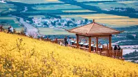 Zhaobishan 3069 Cloud Luxury Capsule Homestay - Pet friendly