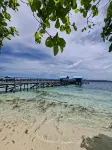Kombrof Homestay Raja Ampat & Dive Center - Pet friendly