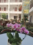 Qiyuanju Hotels in Yichang Three Gorges Dam Tourist Area