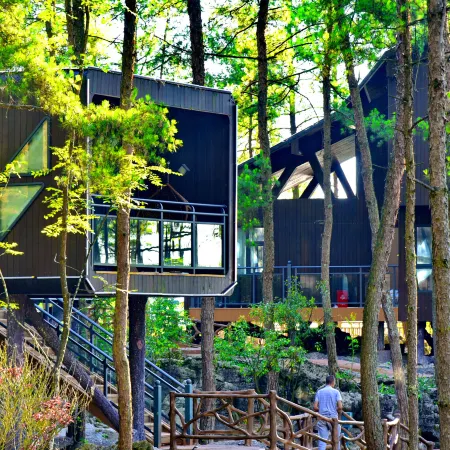 Youyang Taohuayuan Forest Hotel