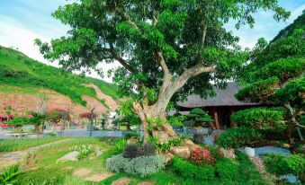 Moc Chau Island - The Bullet Hotel