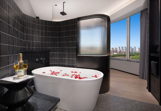 메후드 레스티 호텔