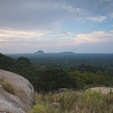 Big Game - Yala By Eco Team