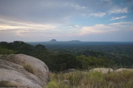 Big Game - Yala By Eco Team