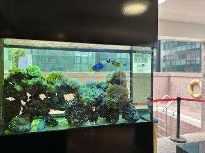 共有エリア エースサイト ナッツフォード ホテルの写真