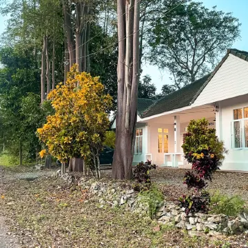 Silpasom ARTstay Suratthani