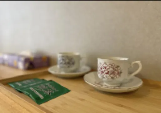 Kansai Airport Pine Villa Hotels in Izumisano