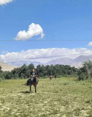 Snowtop Westernmost Lodge · Taxian Xung quanh Photos