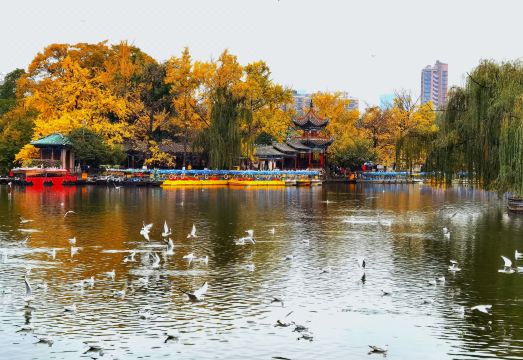 그랜드 파크 쿤밍의 고급스러운 로비 전경