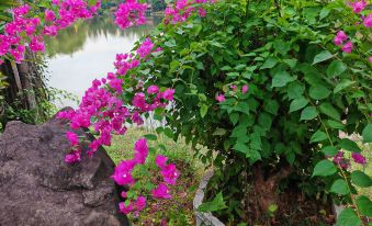 1. Senhu Ga..