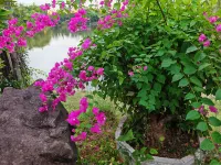Senhu Garden Resort Hotel Các khách sạn gần Vườn Tượng Phật Xiêng Khuôn