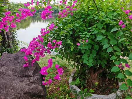 Senhu Garden Resort Hotel Отели рядом с достопримечательностью «Будда-парк»