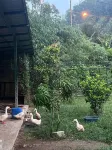 Phang-Nga Farm Stay Hotel a Bang Sai
