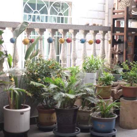Shengsi Jiale homestay