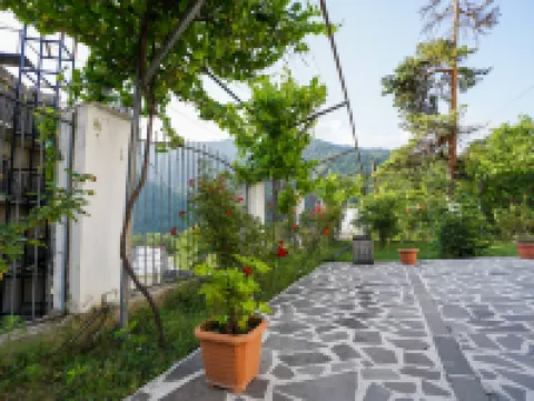 Natali Hotel Hotels in Borjomi