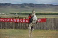 Xiwuqi Mongolia Khancheng Hotel
