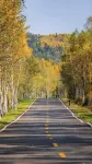 SENYUYANGCANGMINSU - วิวภูเขา