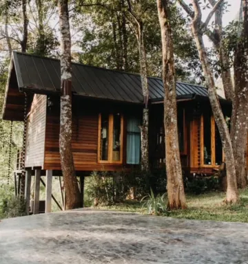 คาตูร่า