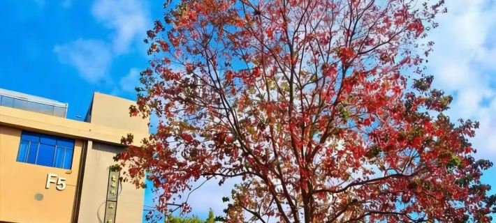 Big Banyan Tree Resort Hotels in Wuzhou