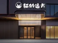 Cat's Faraway Hotel (Datong Dongxin Square T98 Brilliant Golden Street) 다퉁 호텔