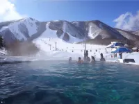 THE ALPS HOTEL HAKUBA - spa