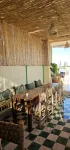 Freedom Yan Hostel - 青年旅館