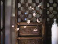 Xishe Boutique Inn Hotels in Weishan