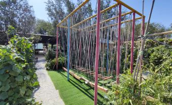 Baipu Homestay