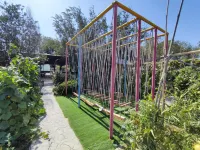 Baipu Homestay