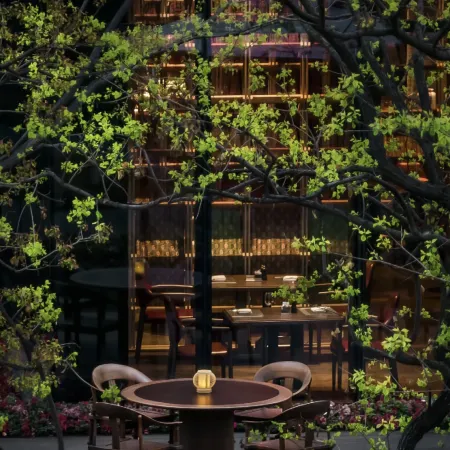 Mumian Chengdu, The Unbound Collection by Hyatt