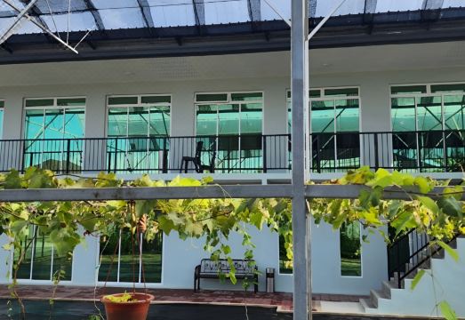 Grapevine Garden 외관 이미지