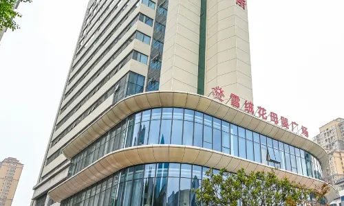 洛陽雪絨花飯店（應天門洛邑古城店）