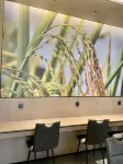 Yiwang Hotel (Lishui Passenger Transport Center) - Morgenmad