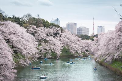 ホテル周辺 シャングリ・ラ 東京の写真
