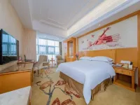비엔나 호텔(Vienna Hotel) 호텔(셴닝 센터화탄店)