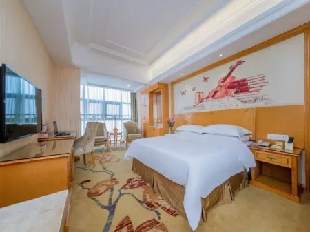 Vienna Hotel Xianning hot spring center flower bed shop Отели рядом с достопримечательностью «Taiyi Statue of God»