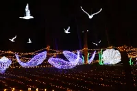 Romantic Coast Resort Maoming Hotels near Bohegang